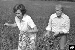 El presidente Jimmy Carter junto a su esposa Rosalynn en el campo de maní en su granja de Georgia, el 19 de agosto de 1978. (AP/Jim Wells, archivo)